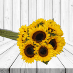 10 GIRASOLES A GRANEL