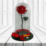 ROSA PRESERVADA EN CUPULA MEDIANA CON TALLO