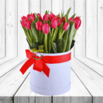HERMOSO JARDIN DE 40 TULIPANES