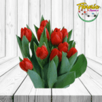 PAQUETE DE 10 VARAS DE TULIPANES A GRANEL