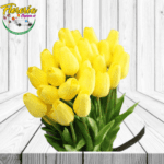 PAQUETE DE 20 VARAS DE TULIPANES A GRANEL