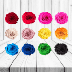 ROSAS PRESERVADAS A GRANEL