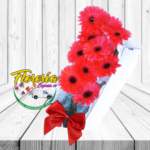 CAJA DE 10 GERBERAS