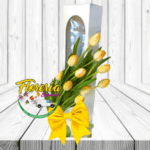 CAJA DE 10 TULIPANES