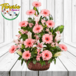 ARREGLO ENCANTADOR CANASTA DE 12 GERBERAS, 7 LILUM, FLORES DE TEMPORADA Y FOLLAJE