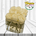 CUBO DE PAZ
