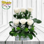 ARREGLO LINEAL DE 6 ROSAS ECUATORIANAS