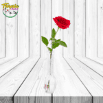 FLORERO DE 1 ROSA INDIVIDUAL