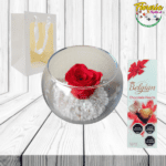 ROSA PRESERVADA EN PECERA Y BOMBONES