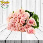 A GRANEL DE 24 ROSAS IMPORTADAS OFERTAS