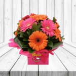 CUBO DE GERBERAS