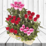 ARREGLO DE 27 ROSAS