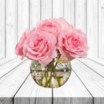 PECERA DE 6 ROSAS IMPORTADAS