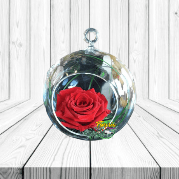 ROSA PRESERVADA EN PECERA COLGANTE