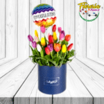 BOX DE 20 TULIPANES Y GLOBO
