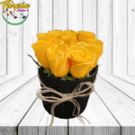 BOX CILINDRO DE 10 ROSAS IMPORTADAS