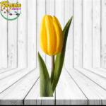TULIPANES PARA ADICIONAR