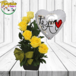 ARREGLO DE 6 ROSAS Y GLOBO