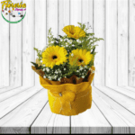 ARREGLO ESPECIAL DE 3 GERBERAS, FOLLAJE, ENVOLTURA Y LAZO