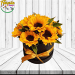 BOX DE 8 GIRASOLES