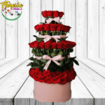 SORPRENDE CON BOX REMOLINO 100 ROSAS PREMIUM