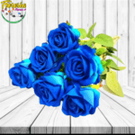 A GRANEL DE 6 ROSA AZUL