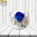 ROSA PRESERVADA AZUL EN PECERA Y PIEDRAS