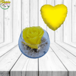 ROSA PRESERVADA EN PECERA Y GLOBO METALIZADO