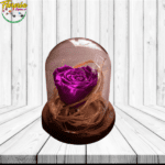 ROSA PRESERVADA MORADA EN CUPULA