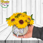 PECERA DE 6 GIRASOLES JABON