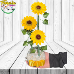 PECERA DE 3 GIRASOLES  JABON