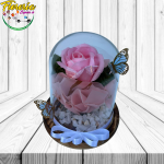 ROSA ETERNA EN CUPULA
