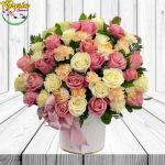 BOX WOW 50 ROSAS
