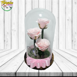 3 ROSAS PREMIUM DE JABON EN CUPULA GRANDE