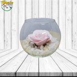 PECERA CON ROSA PREMIUM DE JABON