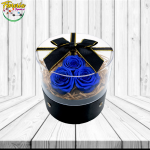 BOX CILINDRO CON VENTANA ACRILICA DE 3 ROSAS AZULES PRESERVADAS