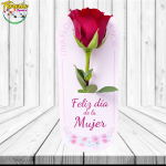 ROSA DIA DE LA MUJER