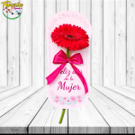 GERBERA DIA DE LA MUJER