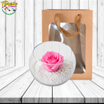 ROSA PRESERVADA ROSADA MAMA CON BOLSA VISORA