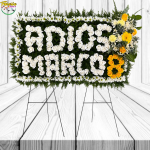 ARREGLO FUNEBRE CON FRASE Y TOPIARIO