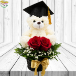 REGALO GRADUACION DE 2 ROSAS, PELUCHE DE 20CM Y BIRRETE
